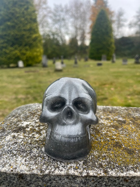 Custom Epoxy Skull